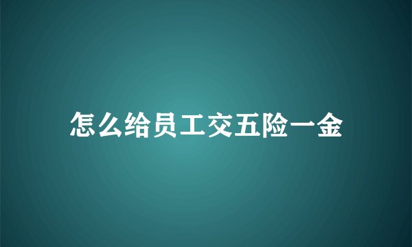 怎么给员工交五险一金