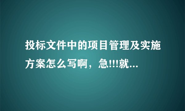 投标文件中的项目管理及实施方案怎么写啊，急!!!就是一些仪器设备，不知道可以写些什么...
