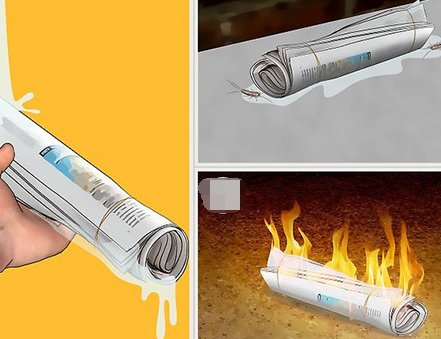 家里的蠹虫怎么去？