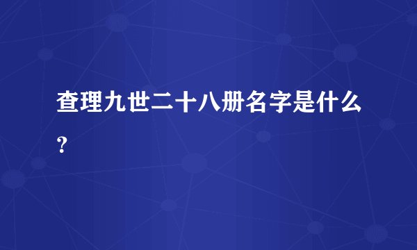 查理九世二十八册名字是什么？