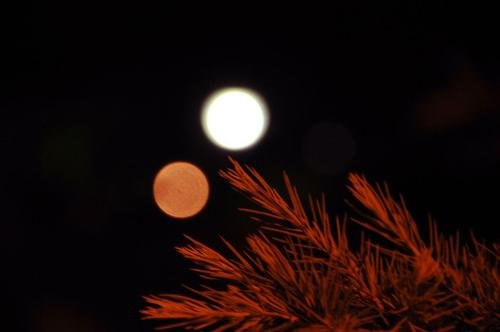 日月同辉的意思是什么啊？