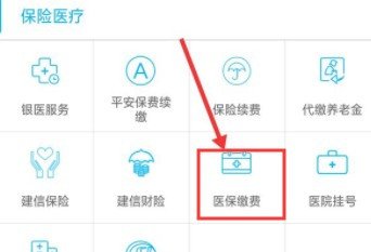 农村合作医疗网上怎么缴费？