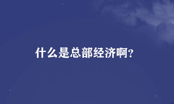 什么是总部经济啊？
