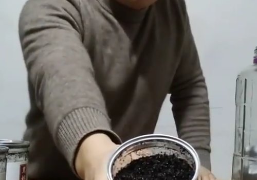 黑蚂蚁怎样泡酒？