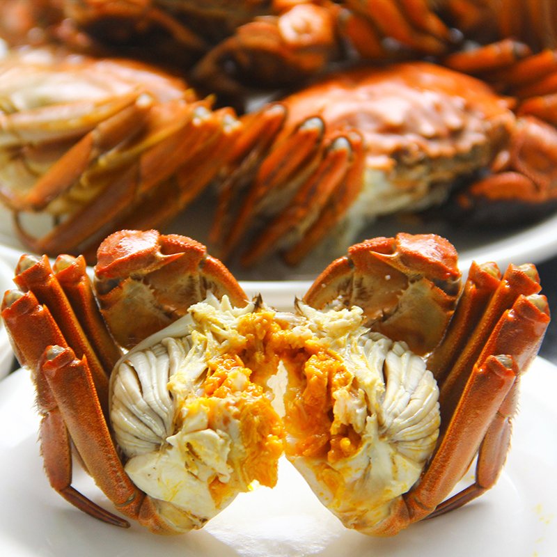 阳澄湖大闸蟹一只多少钱，买一只可以吗