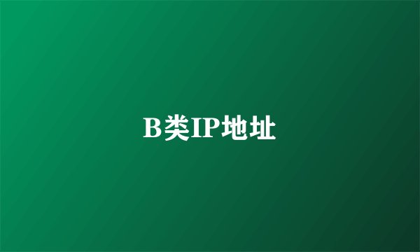 B类IP地址