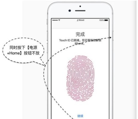 苹果六手机屏幕为什么一直失灵按不动？