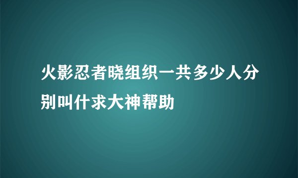 火影忍者晓组织一共多少人分别叫什求大神帮助