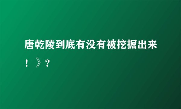 唐乾陵到底有没有被挖掘出来！》？