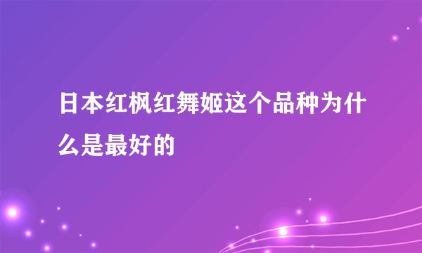 日本红枫红舞姬这个品种为什么是最好的