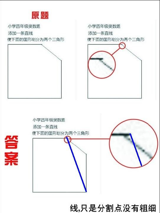 奥数题 添加一条直线是下面的图形划分成两个三角形