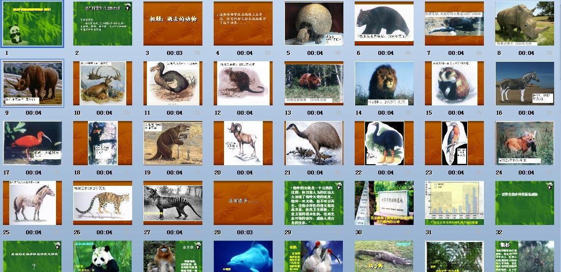 保护生物的多样性我们应该怎么做？