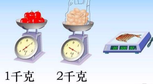 kg是什么单位啊，是公斤的意思吗