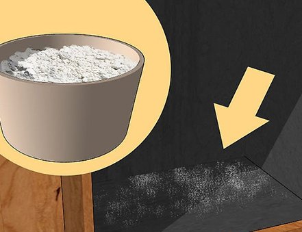 家里的蠹虫怎么去？