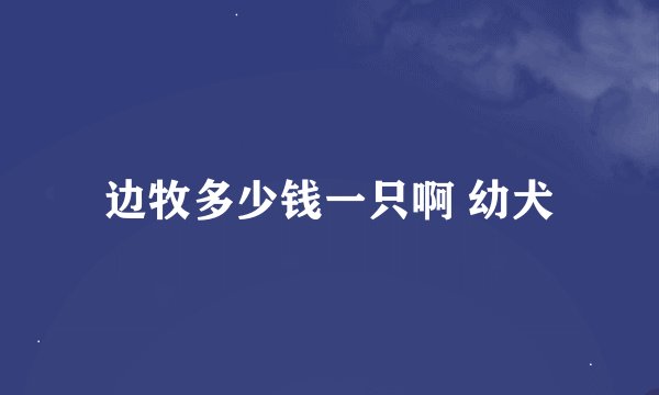 边牧多少钱一只啊 幼犬