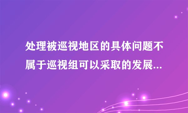 处理被巡视地区的具体问题不属于巡视组可以采取的发展工作的方式