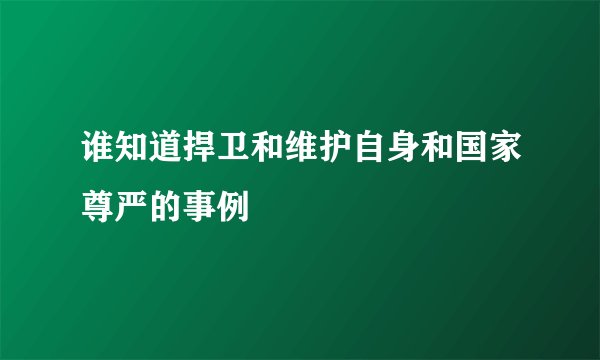 谁知道捍卫和维护自身和国家尊严的事例
