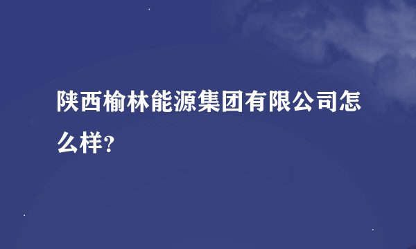 陕西榆林能源集团有限公司怎么样？
