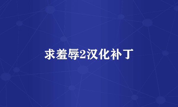 求羞辱2汉化补丁