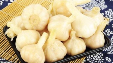 雪白的糖醋蒜配方。十斤的比例。