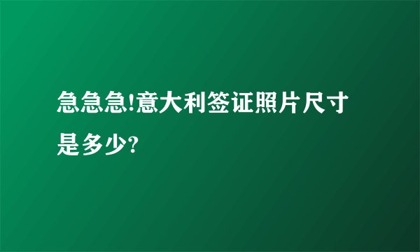 急急急!意大利签证照片尺寸是多少?