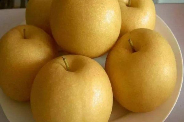 梨的品种有哪些