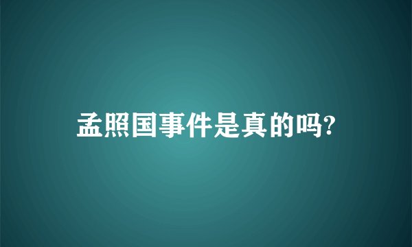 孟照国事件是真的吗?