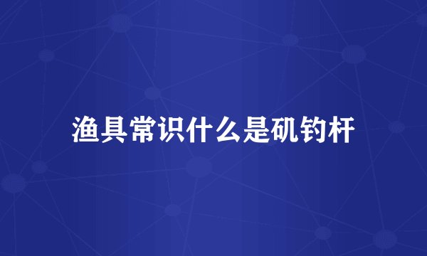 渔具常识什么是矶钓杆