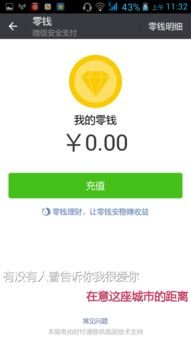 “求一张微信钱包0元余额的照片”