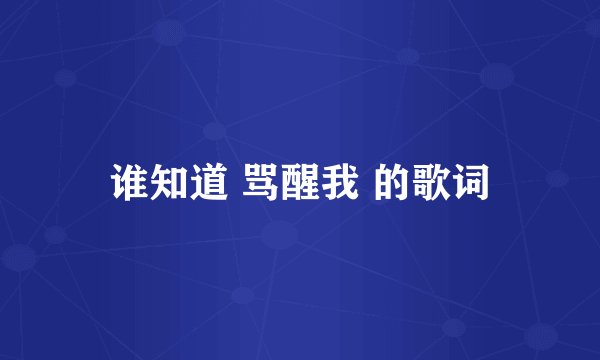 谁知道 骂醒我 的歌词