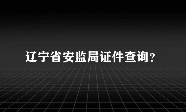 辽宁省安监局证件查询？