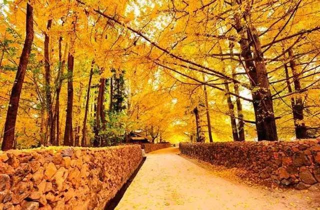 十一月份适合去哪里旅游，十一月旅游最佳之地