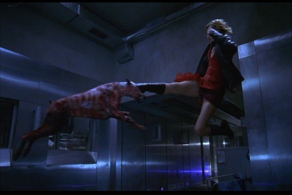 历史上曾在美国出现的“弗拉特伍兹怪物”，到底是怎么回事？