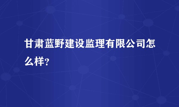 甘肃蓝野建设监理有限公司怎么样？