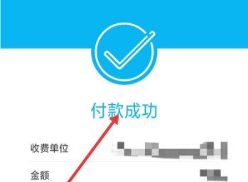 农村合作医疗网上怎么缴费？