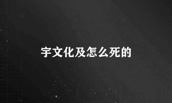 宇文化及怎么死的