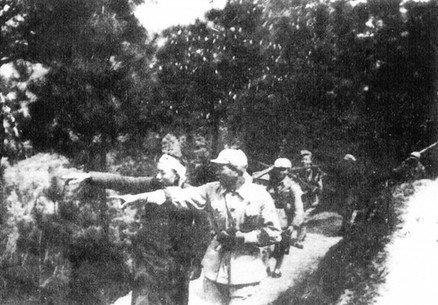 十万大山剿匪的介绍