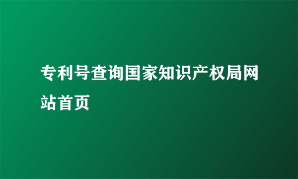 专利号查询国家知识产权局网站首页