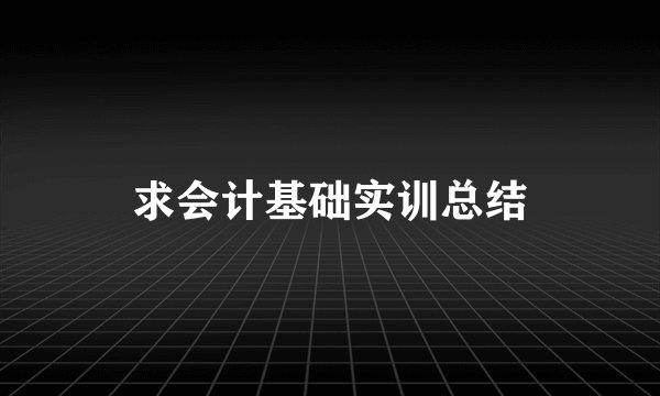 求会计基础实训总结