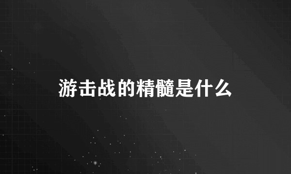 游击战的精髓是什么