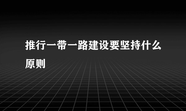 推行一带一路建设要坚持什么原则