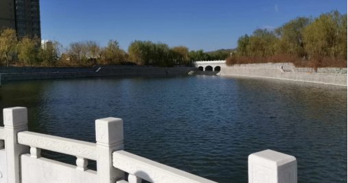 山东外事职业大学怎么样，这所学校值得报考吗？