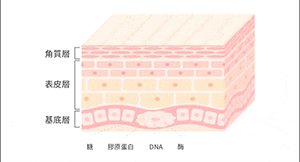 敬修堂佰花方袪斑霜有人用过吗？