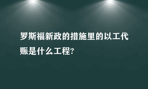 罗斯福新政的措施里的以工代赈是什么工程?