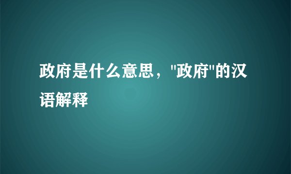 政府是什么意思，