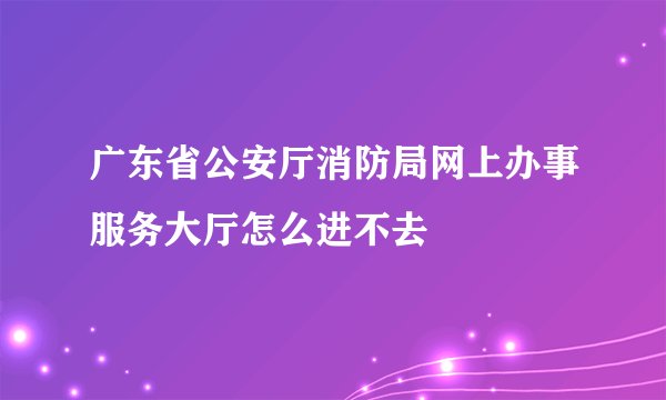 广东省公安厅消防局网上办事服务大厅怎么进不去