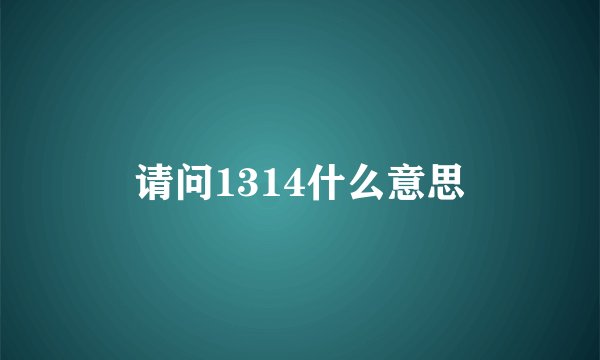 请问1314什么意思