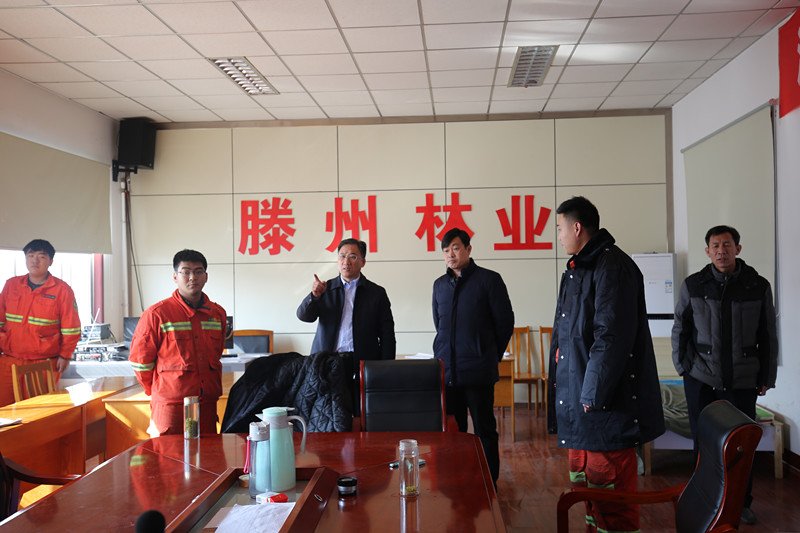 林业局的举报电话是什么？