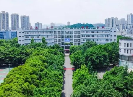 重庆对外经贸学院是几本？