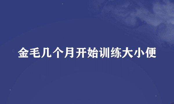 金毛几个月开始训练大小便